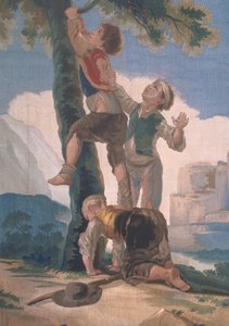 Boys Climbing a Tree